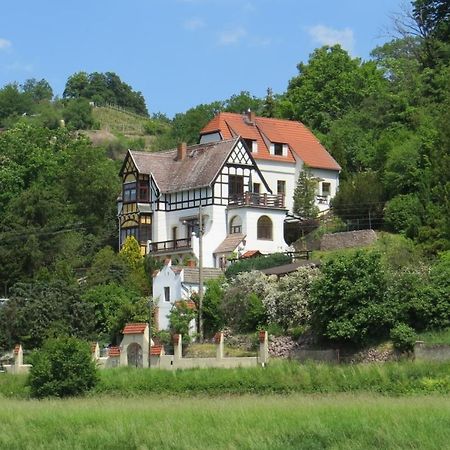 Ferienwohnung Elbsommer Am Weinberg Meißen Eksteriør bilde