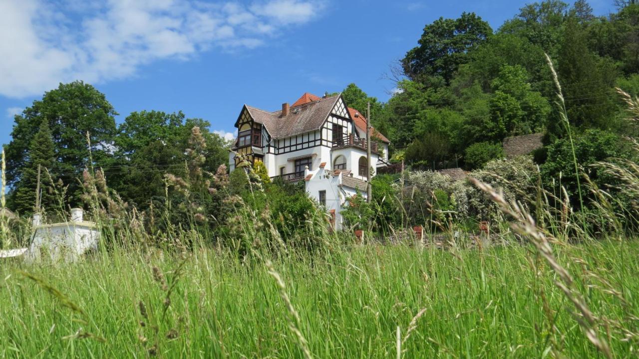 Ferienwohnung Elbsommer Am Weinberg Meißen Eksteriør bilde